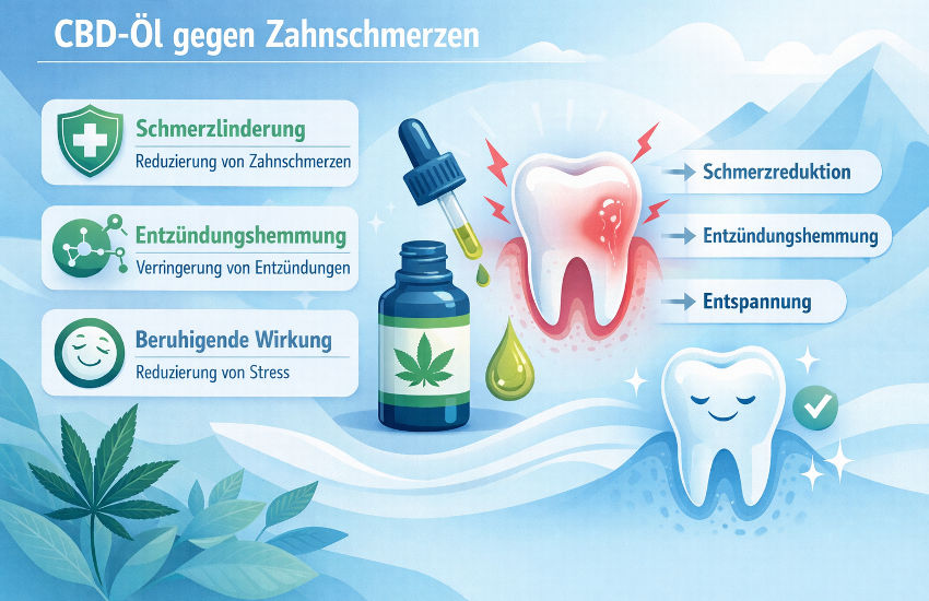 Die Grafik zeigt eine Infografik im Landschaftsformat in hellblauen Farbtönen mit grünen Akzenten. Im Zentrum steht ein schmerzender Zahn, der durch rote Markierungen Entzündung und Zahnschmerzen symbolisiert. Daneben ist eine Pipette mit CBD-Öl sowie eine Flasche mit Hanfblatt abgebildet. Pfeile und Symbole verdeutlichen die möglichen Effekte von CBD-Öl auf Zahnschmerzen, darunter Schmerzreduktion, Entzündungshemmung und Entspannung. Auf der rechten Seite ist ein entspannter, gesunder Zahn dargestellt, der die Linderung der Beschwerden symbolisiert. Die gesamte Darstellung wirkt ruhig, modern und medizinisch-informativ.